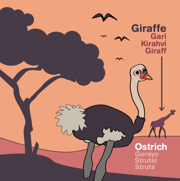 ostrich | John Lumgair